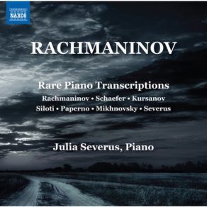 Download track Orchestral Suite In D Minor (Version For Piano) IV. Allegro Julia Severus