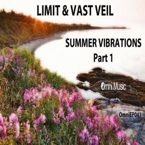 Download track Never Coming Back The Limit, Omni Music, Vast Veil
