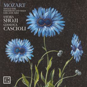 Download track Mozart: Sonata For Piano And Violin In B-Flat Major, K. 378 / 317d: III. Rondeau. Allegro Gianluca Cascioli, Sayaka Shoji