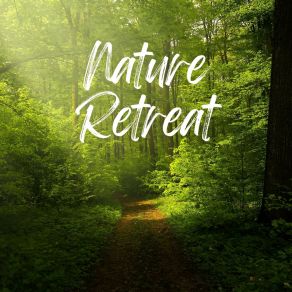 Download track 1 Hour Of Distant Wind In The Forest, Pt. 18 Sound Of Nature Library