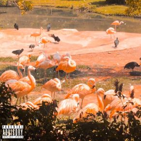 Download track Bloodbath In Paradise The Decliner