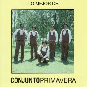 Download track Amor Fingido Conjunto Primavera