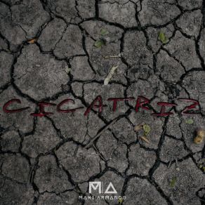 Download track Permanecer Maxi Armando