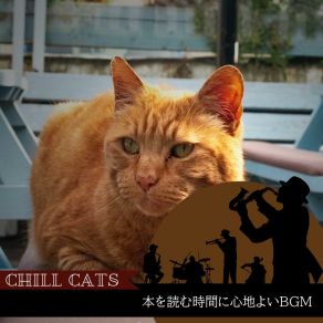 Download track The Answer To A Question Chill Cats