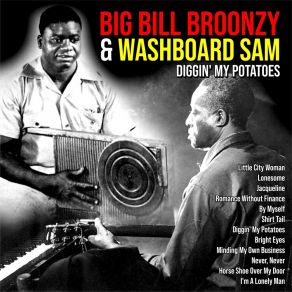 Download track I'm A Lonely Man Washboard Sam