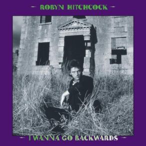 Download track My Favourite Buildings [Demo] Robyn Hitchcock