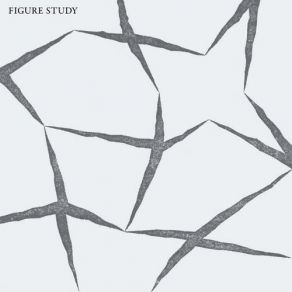 Download track Divide Figure Study