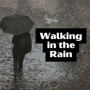 Download track The Last Rain Loopable Rain Sounds