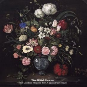 Download track Lost At Sea The Wild Swans