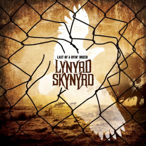 Download track Something To Live For Lynyrd Skynyrd