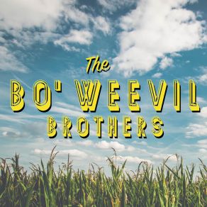 Download track I Don't Owe You A Thing The Bo'weevil Brothers