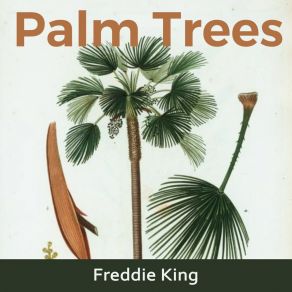 Download track (I'd Love To) Make Love To You Freddie King