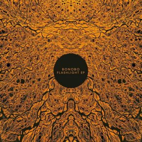 Download track Flashlight Bonobo
