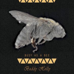 Download track Slippin' And Slidin' Buddy Holly