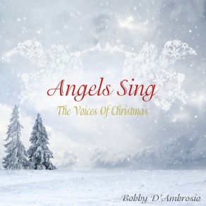 Download track What Christmas Was Meant To Be Bobby D'AmbrosioChez G