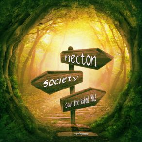 Download track Time Warp Necton
