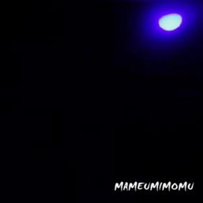 Download track Intro + Jungle Trip Mameumimomu