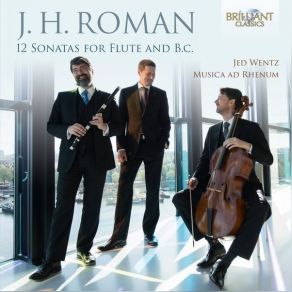Download track 08. Flute Sonata II In D Major, BeRI 202 III. Larghetto-Andante-Adagio Johan Helmich Roman