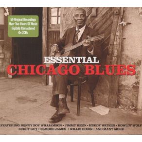 Download track Say Man Bo Diddley
