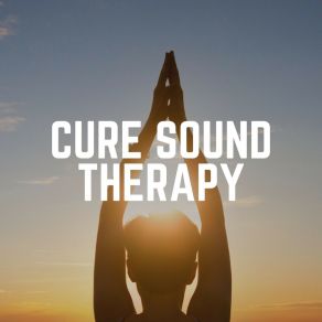 Download track Checking In Chakra Balancing Sound Therapy