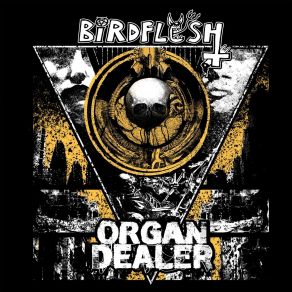 Download track The Man Who Turned Into A Boy Organ DealerBirdflesh