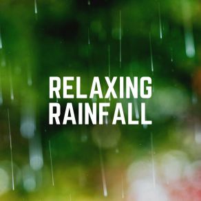 Download track I Give Life To A Tree Ambient Rain