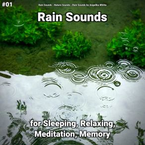 Download track Rain Sounds For A Romantic Atmosphere Rain Sounds By Angelika Whitta