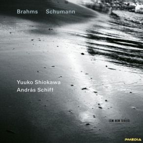 Download track 02. Violin Sonata No. 1 In G Major, Op. 78 _ II. Adagio András Schiff, Yuuko Shiokawa