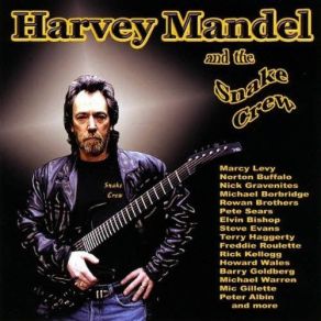 Download track I Had A Life Harvey Mandel