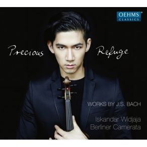 Download track 14. Violin Concerto In A Minor BWV 1041 - III. Allegro Assai Johann Sebastian Bach