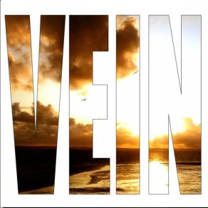 Download track WAIT A MINUTE Vein