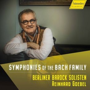 Download track 20. Concerto In D Major, JLB 39 II. Andante Berliner Barock Solisten