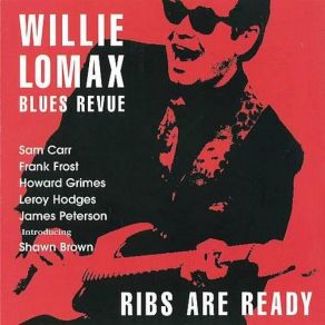 Download track Don't Fight The Feeling Willie Lomax Blues Revue