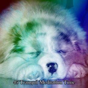 Download track Best To Rest Dormir
