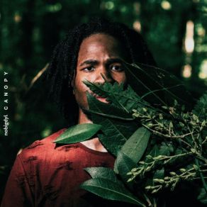 Download track Tree Tops Nobigdyl