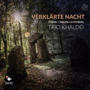 Download track 04. Piano Trio No. 2 In C, Op. 87 - I. Allegro Moderato Trio Khaldei