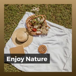 Download track Streams Flow Continually Sounds Of The Forest