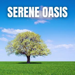 Download track Just Vibes The Peaceful Garden