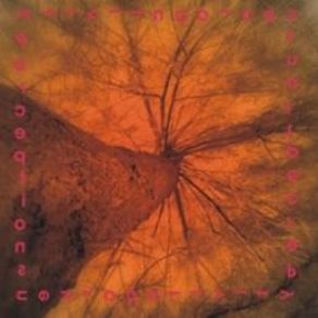 Download track Movement 14 Perceptions