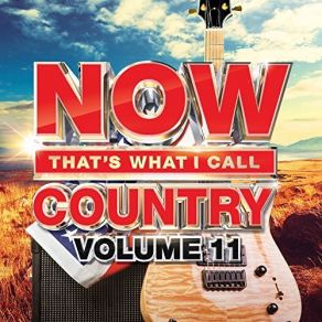 Download track I Could Use A Love Song Maren Morris