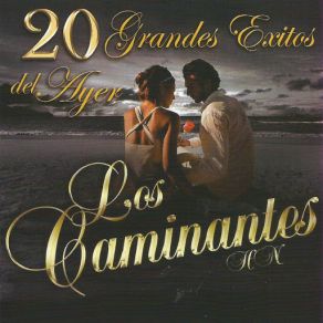 Download track Supe Perder Los Caminantes
