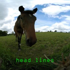 Download track What To Do Head Lines