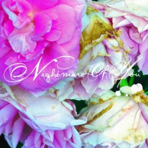 Download track My Name Is Trouble Nightmare Of You