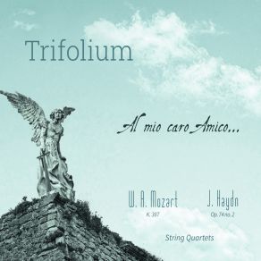 Download track String Quartet No. 14 In G Major, K. 387: IV. Molto Allegro Cuarteto Trifolium