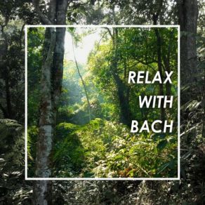 Download track J. S. Bach: Prelude In A Minor, BWV 569 Johann Sebastian BachTon Koopman