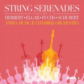 Download track Schubert: Schwanengesang, D. 957: No. 4, Ständchen (Arr. M. Naughtin For String Orchestra) Anima Musicae Chamber Orchestra