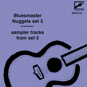 Download track Back Water Blues / Blackbird Blues / To Do This You Got To Know How Lonnie JohnsonRaymond Boyd, Deloise Searcy, John Erby