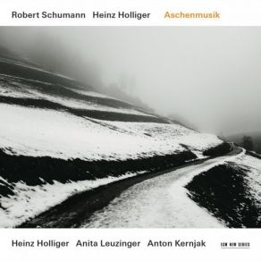 Download track Sechs Stücke In Kanonischer Form, Op. 56: I. Nicht Zu Schnell Heinz Holliger, Anton Kernjak, Anita Leuzinger