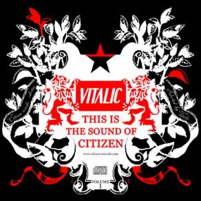 Download track A Bit Patchy Vitalic