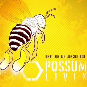 Download track What Are We Working For Possum Livin